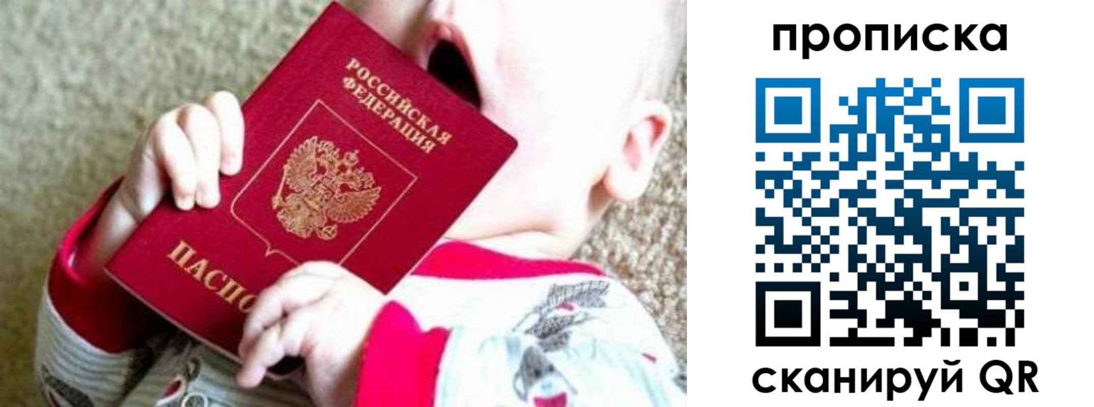 прописка законно в Брянской области